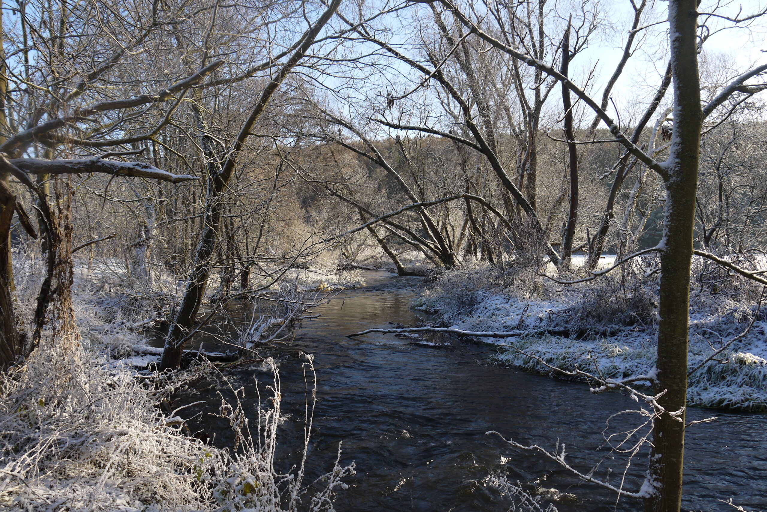 Winterlandschaft: Es ist der Fluss der Ilm zusehen, auf den angrenzenden Wiesen und Gehölzen liegt Schnee.
